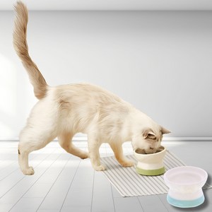 특허받은 고양이 맞춤 식기 먹기편한 안흘림설계 미끄럼방지 세라믹 켓볼 페티오, 1개, 드라이푸드용