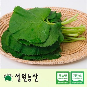 [친환경/저탄소/노지재배]강원도 곰취 나물/곤달비 나물, 1개, 곤달비, 1kg