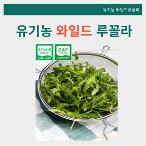 [바오농장] 유기농 와일드 루꼴라 샐러드 채소 산지직송, 100g, 4개