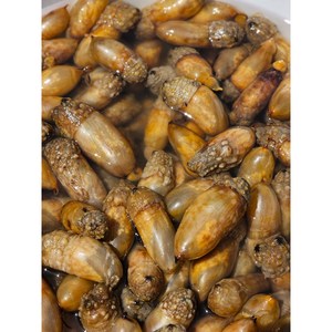 국내산 제철 손질 깐 활 미더덕, 1개, 생물 500g