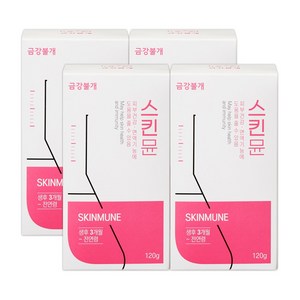 강아지 피부 영양제 반려견 애견 피부염 피부병 모발 피모 털빠짐 아토피 영양제, 피부/털개선, 4개, 오리&연어 혼합맛