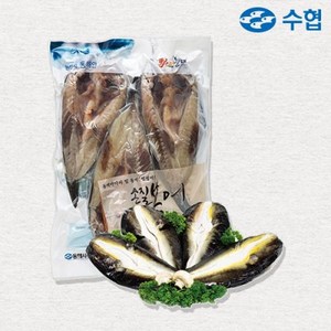 수협 [동해시수협] 손질 복어 2~3미(1.5kg), 1개