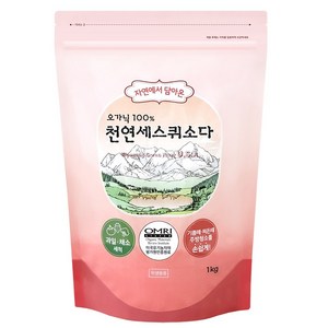 샤본다마 오가닉100% 자연에서 담아온 천연 세스퀴소다 1kg, 2개