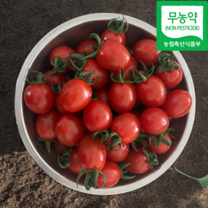 정가네건강농장 GAP 인증 대추방울토마토, 1박스, 1kg (로얄과)