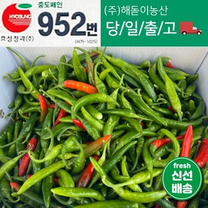 <해돋이농산> 국내산 못난이 햇 청양고추 매운고추 상품 10kg (1박스)반홍, 10kg(상), 1개