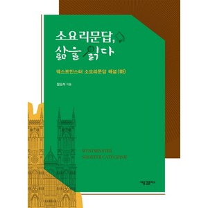 소요리문답 삶을 읽다: 웨스트민스터 소요리문답 해설(하), 새물결플러스, 정요석 저