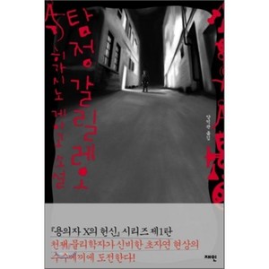 탐정 갈릴레오:갈릴레오 시리즈 1, 재인, 히가시노 게이고