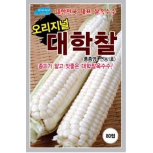 대학찰 옥수수 종피가 얇고 맛좋은 씨앗 80립, 1개