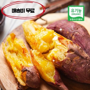 무안 유기농 햇고구마 꿀 달수고구마 3KG, 엄지(한입)-3kg, 꿀 달수고구마 엄지(한입), 엄지3kg