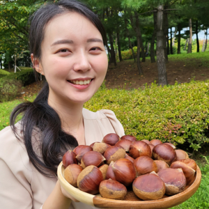 공자매 농축수산 햇알밤 옥광밤 공주정안알밤, 4kg, 1박스, 옥광밤(특대)