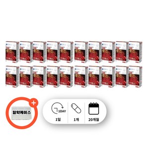 나토배양물 놔뚸키나줴 나토키닌 나토키나아제 나토킨 나토균 나토키나 키나아제 나토키나제 피브린 피브린용해효소, 20세트, 30회분