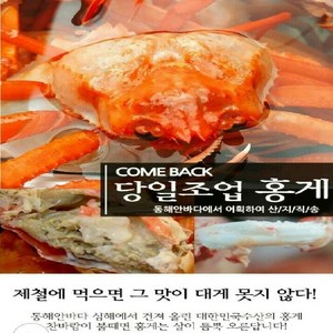 홍게 2kg(6~8미) 3kg(10~12미)산지직송 붉은대게 울진후포 구룡포 고소한게장 수율보장80%이상, 2kg(6~8마리)수율80%이상, 1개