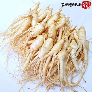 금산인삼 5년근 6년근 세척 무세척 수삼 가정용, (세척)난발 30뿌리-750g, 1개