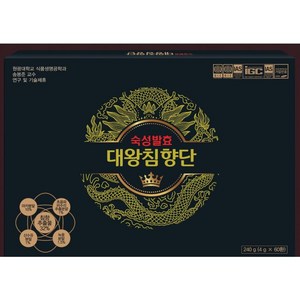 숙성발효 대왕침향단 240g (4g X 60환), 1개, 4g