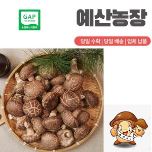 GAP인증 표고버섯 산지직송 생표고버섯 고급형 이유식 끝내주는 화고, 화-4kg, 1개