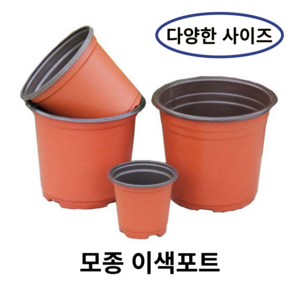 모종 화분 연질 이색포트 (10cm/15cm/18cm), 100개, 18화분