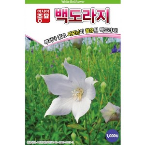 백도라지씨앗종자 백도라지(1000립) S2546, 1개