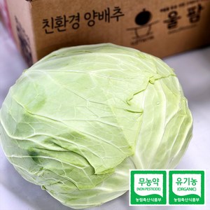 [울팜] 아삭 달달 국내산 친환경 양배추 1kg(1통) / 2kg(2통) / 3kg(2~3통) / 5kg(3~5통) 무농약 유기농 제주 무안 밀양, 1박스, 1kg