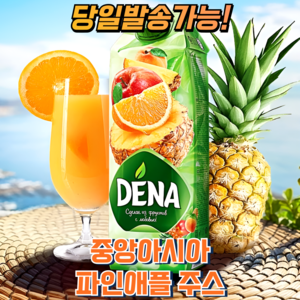 데나 천연 파인애플 살구 사과 오렌지 혼합주스 (과즙 100%함유) DENA PINEAPPLE/APRICOT/ORANGE JUICE EXPERT, 1개, 1L