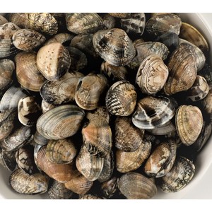 해감완료 크기선별 국내산 칼국수용 참바지락 3kg 5kg, 개별포장, 1개