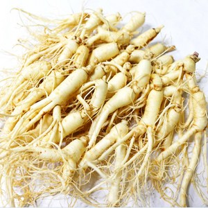 후금이네 가정용 햇 수삼 세척인삼, 700g 27-35뿌리, 1개