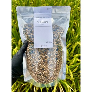 청미특미 직접 농사지은 국산 약콩 보리차 500g, 1개, 1개입