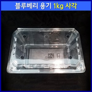 블루베리 용기 1kg 사각 (100개) / 베리류 아로니아 오디 복분자 방울토마토 과일 포장 용기, 1세트, 100개