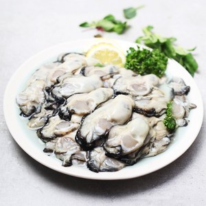 통영 생굴 최상급 2kg, 1개, 햇생굴 2kg