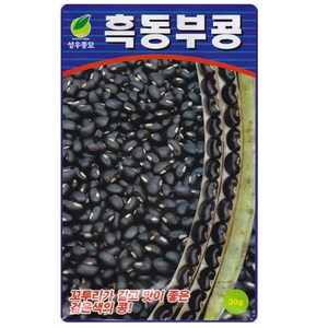 흑 동부콩 씨앗 30g 덩굴성 검정 동부콩씨 종자 키우기 영농사, 1개