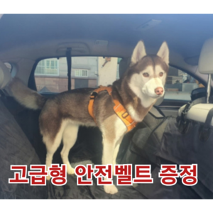강아지 차시트 애견 카시트 반려견 방수 풀커버 시트 애견 매트, 뒷자석+헤드레스트안전벨트