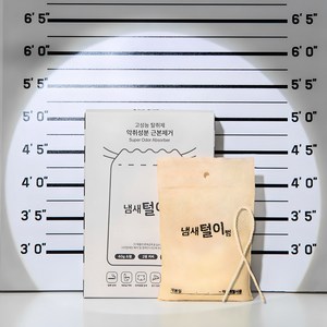 냄새털이범 6개월 사용하는 초강력 탈취제, 40g, 1개