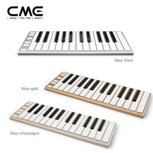 CME XKEY-25, 실버, 1개