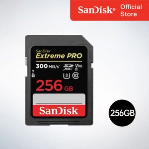 샌디스크 Exteme Po2 익스트림 프로2 SD메모리카드 UHS-2 V90 SDSDXDK 256GB, 1개