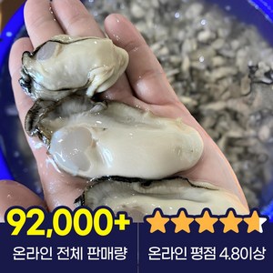 통영 굴 생굴 하프셀 석화, 1개, 생굴(대)2kg