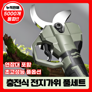 엣지온 전지가위 180도회전 장대 6.5cm 6A 풀세트 가지치기 무선 전동가위 충전식, 1세트