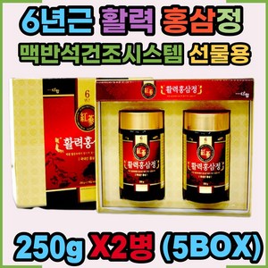 {묶음상품} 활력 홍삼정 농축액 진액 홍상 선물세트 식약처인증 온가족 건강식품 맥반석 건조시스템 여성 남성 부모님 은사님 지인 어르신 선물용 250g 2EA x5