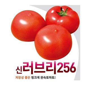 헬프팜 신러브리256 토마토 20립 씨앗 아시아종묘, 1개