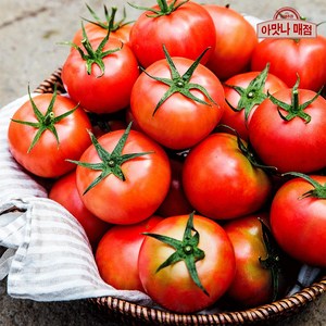 [아맛나] 빨갛게 익혀 보내는 완숙 토마토 소과, 1개, 2kg(소과)