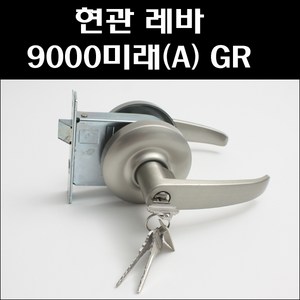 아사아블로이코리아 현관정 9000 미래 그레이, 1개