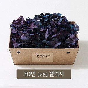화연양화 블루밍 수국 박스수국 컬러최다 30색! 프리저브드플라워, 30 갤럭시