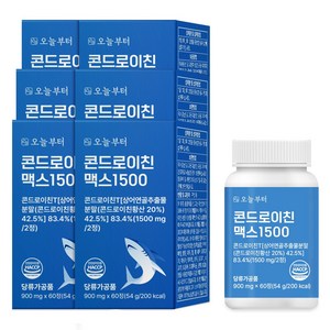 오늘부터 콘드로이친 맥스 1500 상어연골, 60정, 6개