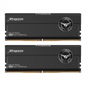 TeamGroup T-Force DDR5-8000 CL38 XTREEM 패키지 서린 (48GB(24Gx2)), 2개