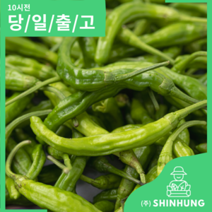 꽈리고추 국내산 가정용 못난이 [신흥유통][무료배송], 꽈리고추 2kg 내외, 1개