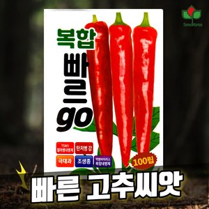 씨드코리아 고추씨앗 복합 빠르고 100립 빠른수확 탄저병 칼라병 바이러스 2024년, 1개