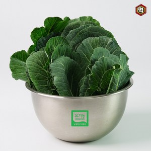 [억수로상회] 즙용 유기농 케일 (당일수확 산지직송), 1개, 1kg