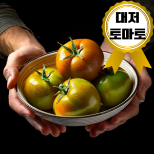 상큼달콤 아삭한 프리미엄 대저 토마토, 1박스, 1kg(L)