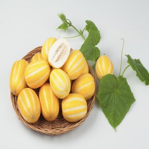 성주 꿀 참외 특품로얄 참외 가정용 못난이 참외, 1박스, 1kg