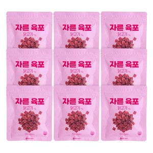 페페로니 자른육포 닭고기 70g 세트, 9개