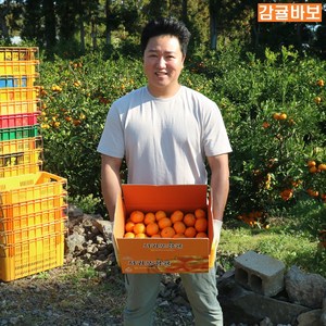 감귤바보 제주 제철 프리미엄 노지감귤 1박스 1KG 3KG 5KG 10KG 고당도 서귀포 산지직송