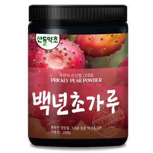 국내산 제주산 백년초 가루 300g 백년초열매차 백년초분말, 1개